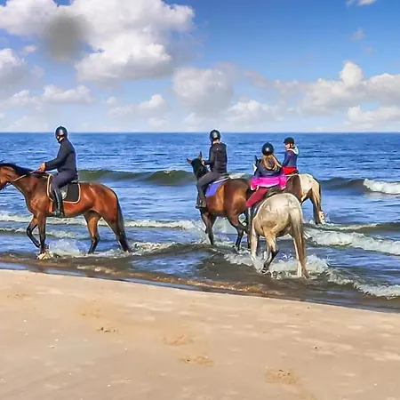 2 Bedroom Pet Friendly In