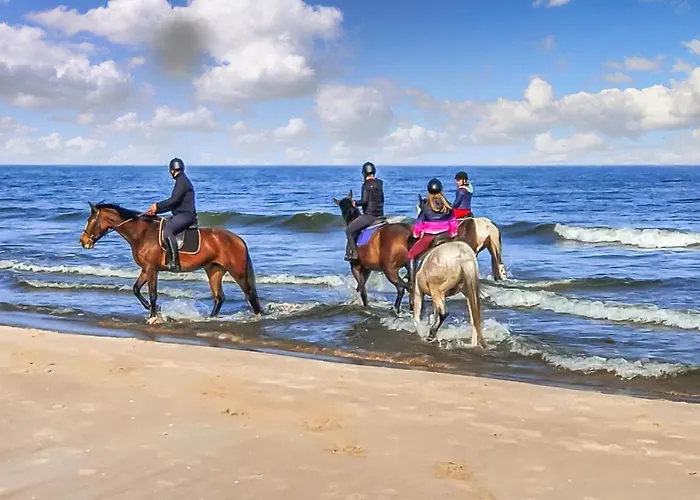 2 Bedroom Pet Friendly In